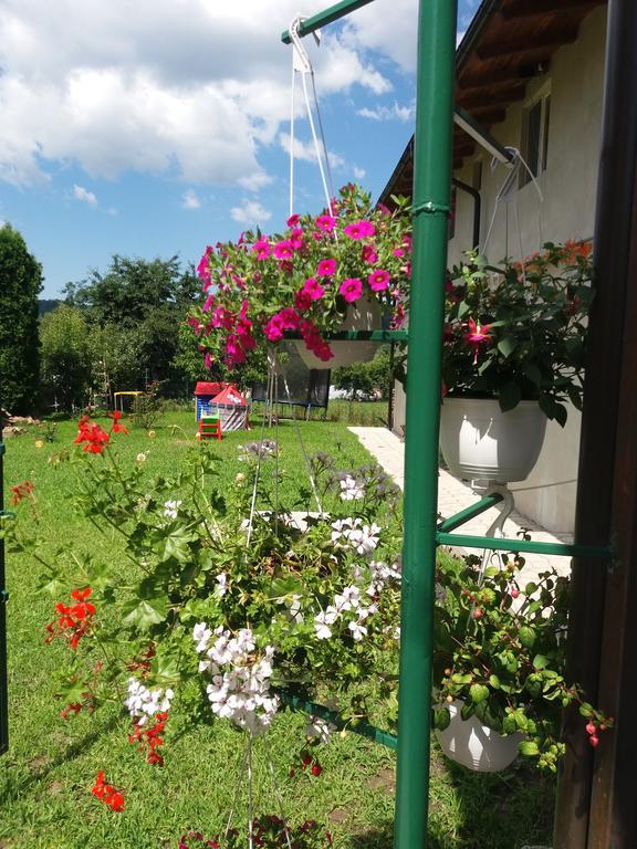 Casa Ariana *